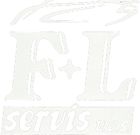 flservis